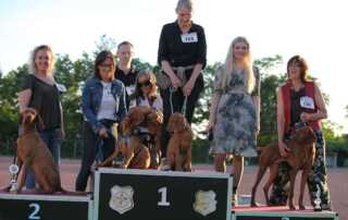 Sieger Zuchtgruppe Magyar Vizslas vom Starkenbrunnen mit Hundeführerin Moog Kerstin aus Ruppertsweiler.