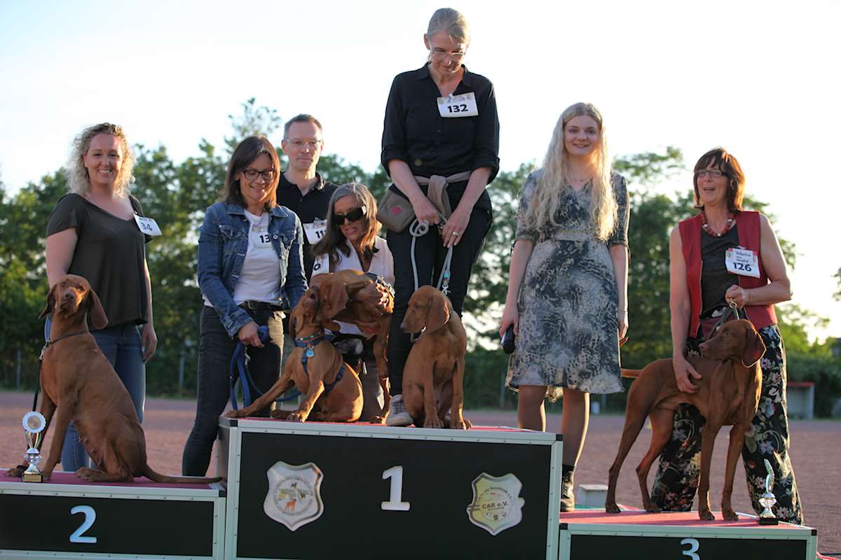 Sieger Zuchtgruppe Magyar Vizslas vom Starkenbrunnen mit Hundeführerin Moog Kerstin aus Ruppertsweiler.