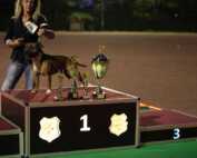 All Star Dog Show & Bundessiegerschau Gewinner in Ludwigshafen.