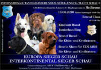 Internationale Tandem-Rassehunde-Ausstellung ® Flutlicht Schau 13.06.2020