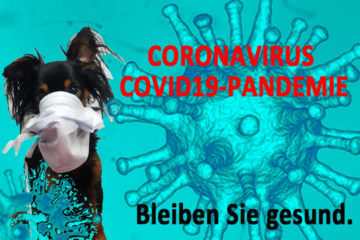 Coronavirus COVID-19 ACI Informationen