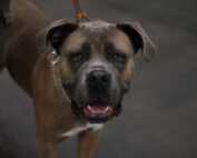 Welt Sieger & German Champion Cup 13.09.2020