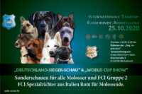 Internationale Tandem-Rassehunde-Ausstellung 25.10.2020