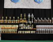 Internationale Tandem-Rassehunde-Ausstellung ® Deutschland-Sieger-Schau & World Cup Show