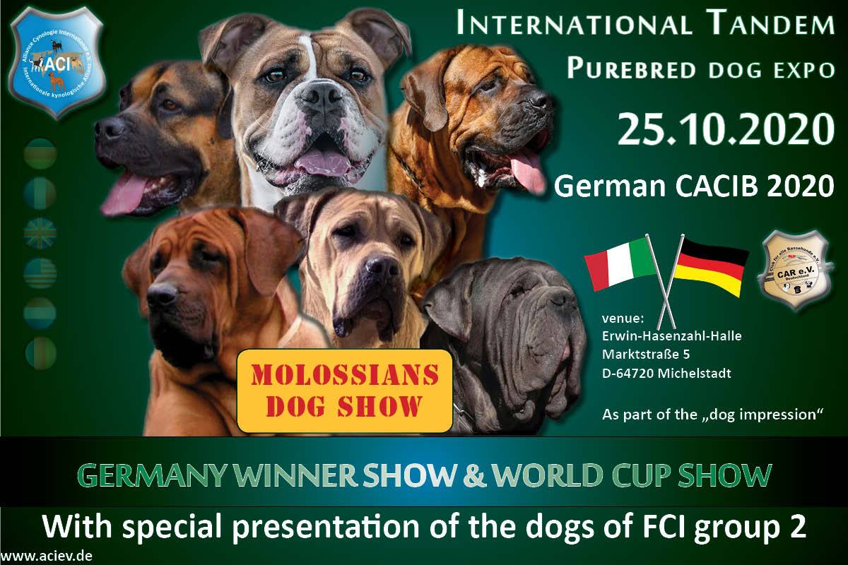 GERMANY WINNER SHOW & WORLD CUP SHOW 2020