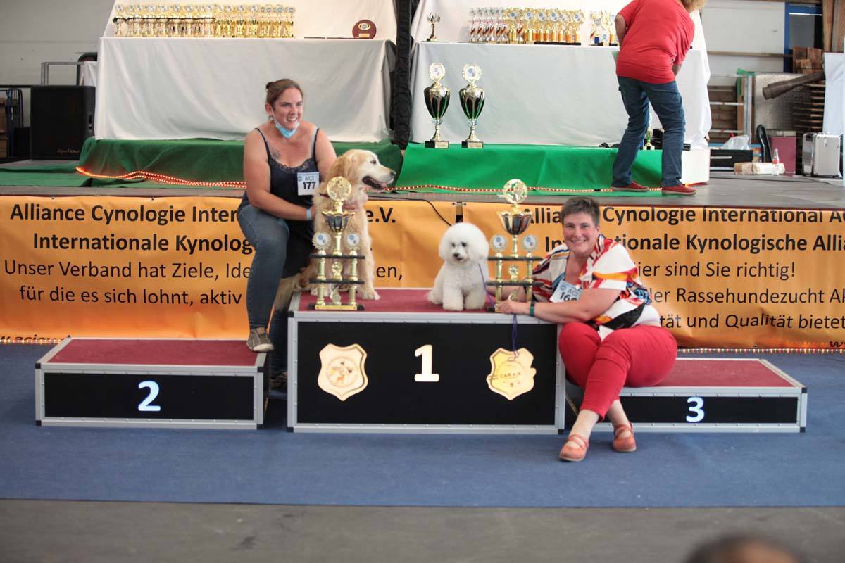 Best in Show German Champion Cup Sieger Schau 2019