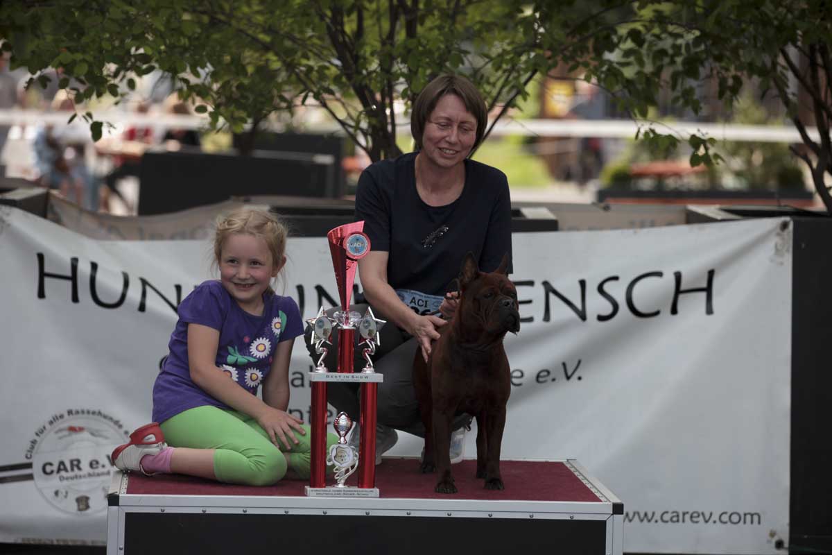 DSS - BEST in SHOW: Start-Nr. 136 Chongqing Dog „Ayumi chuan Tong Do-Khyi“ mit Hundeführerin Viktoria Lier aus Rimbach.