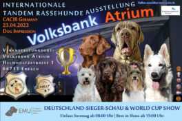 Internationale Tandem-Rassehunde-Ausstellung Deutschland Sieger Schau und World Cup Show 23.04.2023