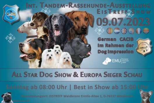 Internationale Tandem-Rassehunde-Ausstellung All Star Dog Show & Bundes Sieger Schau 09.07.2023