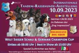Welt Sieger Schau & German Champion Cup 10.09.2023 & Molosser Sonderring