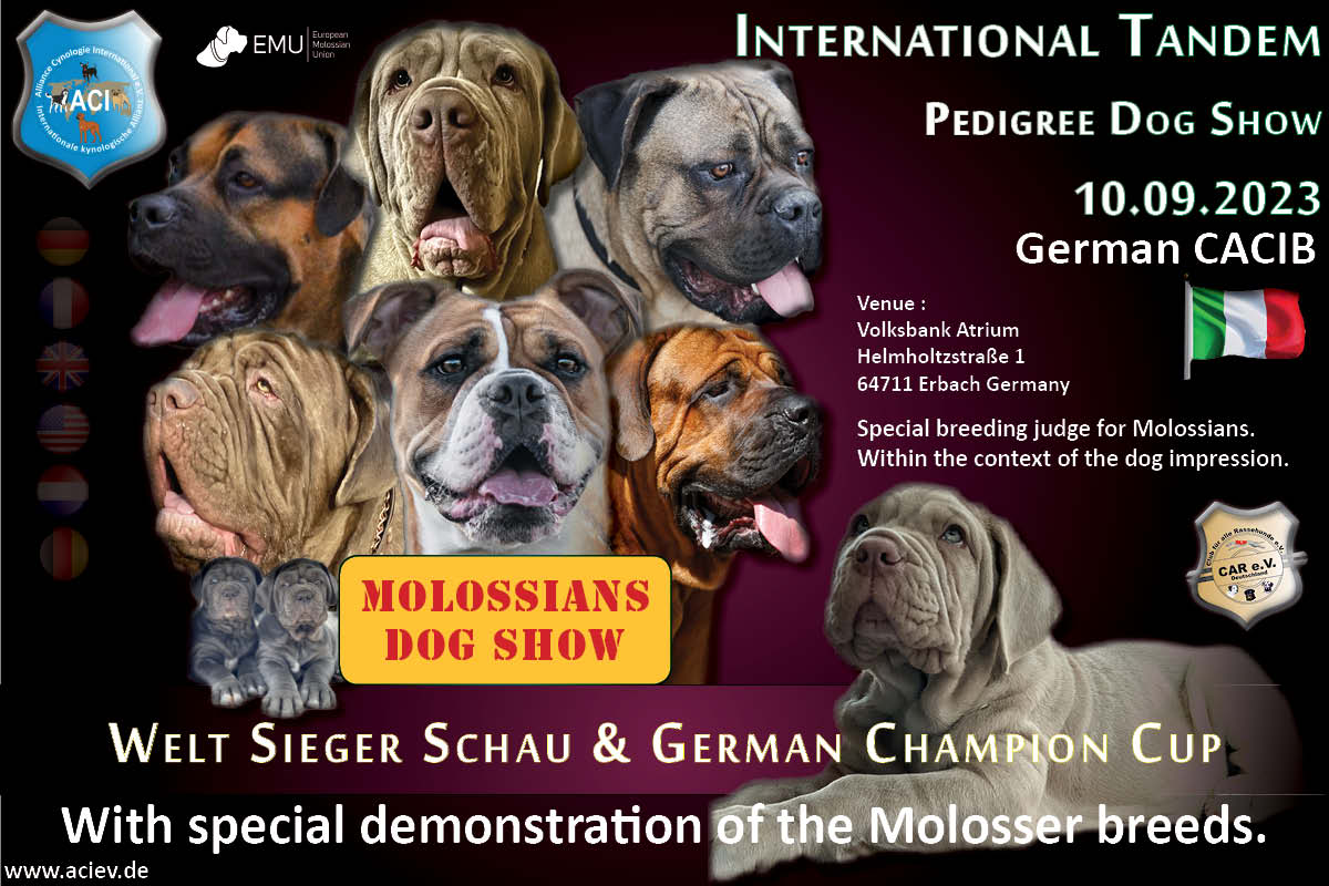 Internationale FCI Gruppe 2 und Molosser Ausstellung. 10.09.2023