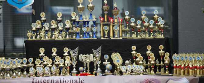 Auch Sie können an den ACI Hundeausstellungen teilnehmen. CACIB Deutschland