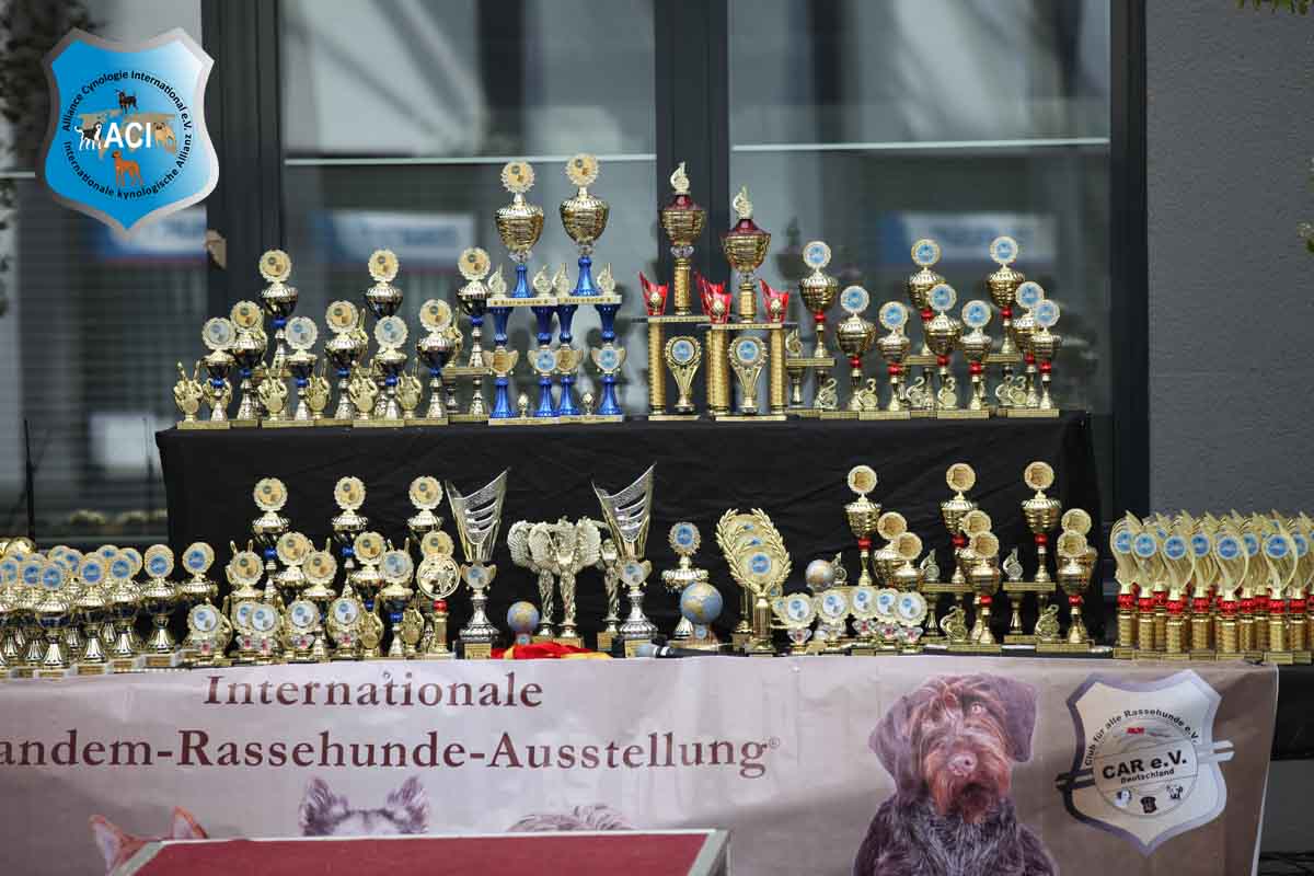 Auch Sie können an den ACI Hundeausstellungen teilnehmen. CACIB Deutschland
