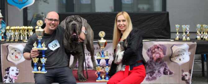 ACI Best in Show World Cup Schau Erbach 23.04.2023