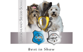 Am 23.04.2023 wird die Tandem-Rassehunde-Ausstellung in Erbach durchgeführt.