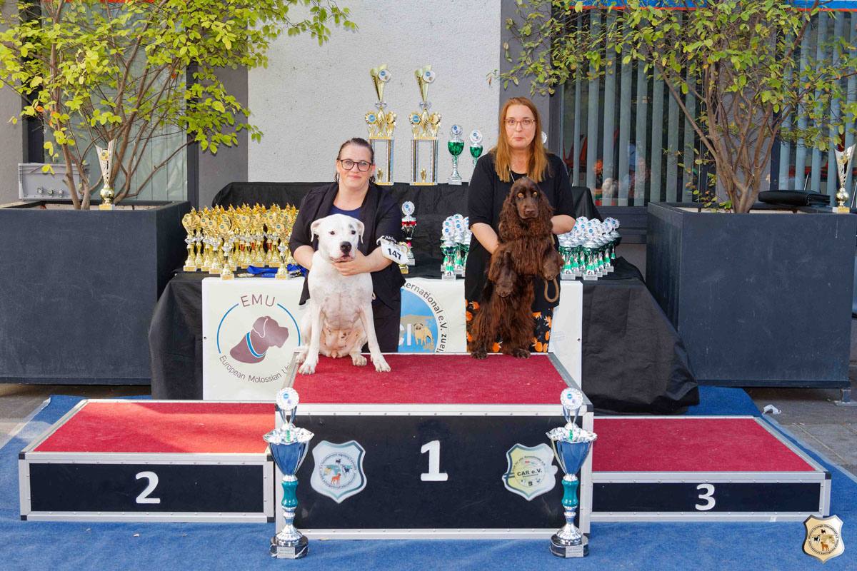 Best in Show German Champion Cup Erbach 2023