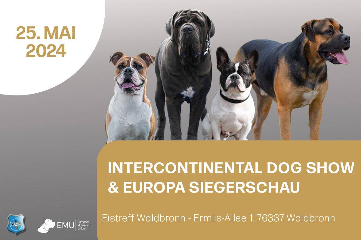 Interkontinental Dog Show & Europa Sieger Schau 25.05.2024