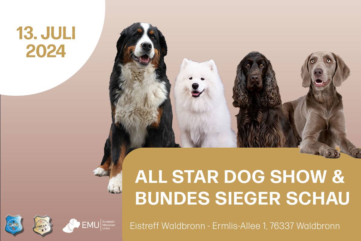 All Star Dog Show & Bundes Sieger Schau 13.07.2024