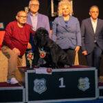 Trofeo ATIMANA 2024