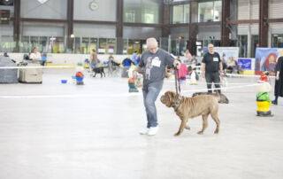 GoD Mastino MaraGoni Guard of the District und Volker Thomas