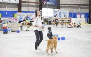 Platzierung Sonderring Best of Golden Retriever: Queen of the Midnight Sky von der Green Valley Ranch mit Mara Stolzenthaler aus Oberderdingen.