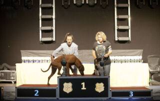Best in Show All Star Dog Show Kleinrassen Shetland Sheepdog Amazing Mavis von der Wellinger Sheltiebande mit Susanne Kovacs aus Hattenhofen.