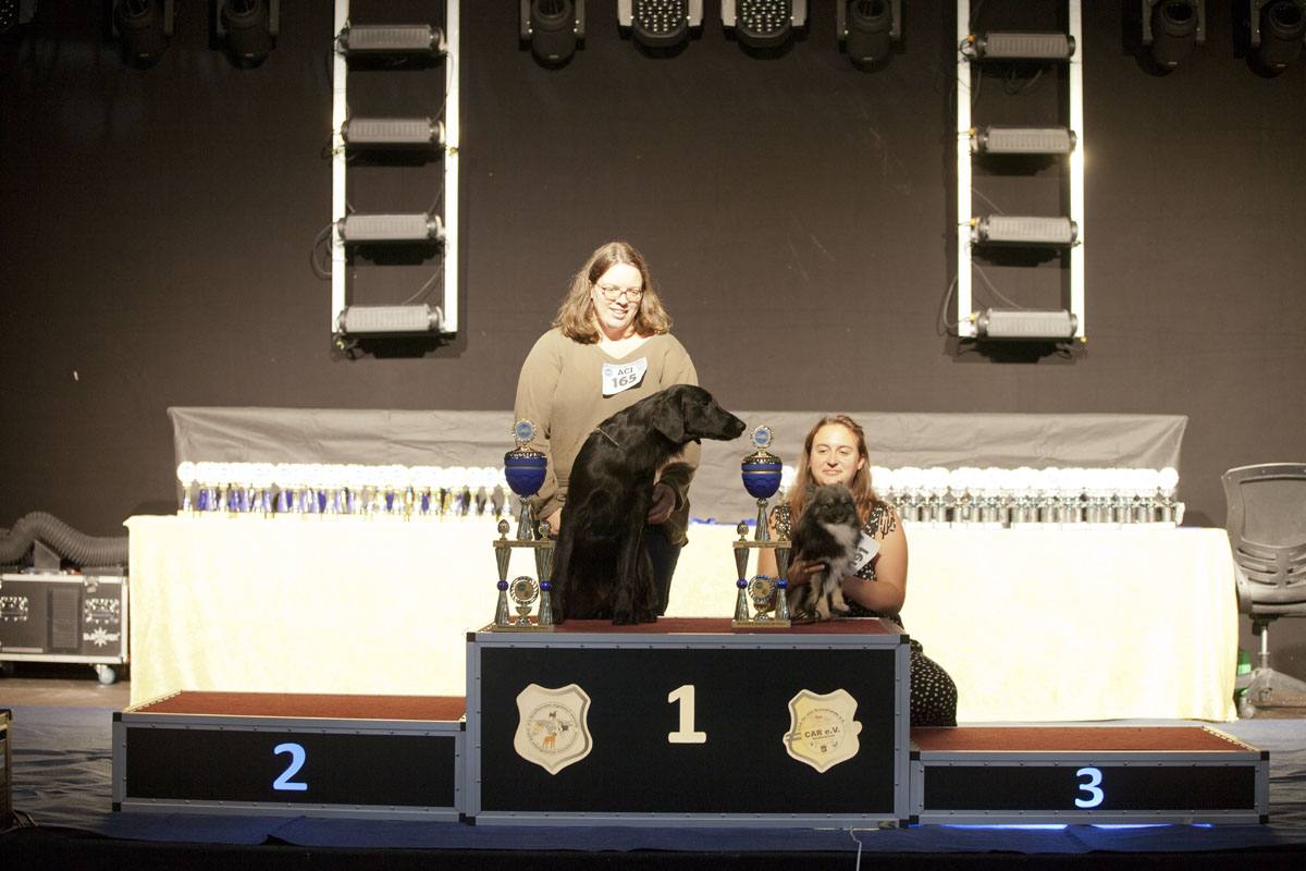 Best in Show BSS