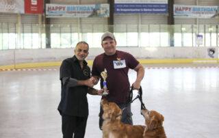In der Koppelklasse setzte sich Christian Fröhlich mit seinen Golden Retrievern durch. Die topfitten Hunde zeigten eine perfekte Synchronität. 1. Platz für Christian und Iven Bruegger-Golden Retriever.