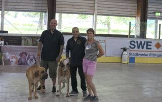 Filas Brasileiro sind für ihre imposante Präsenz und beeindruckende Stärke bekannt. Bei der Deutschland Sieger Schau und der World Cup Show am 14.07.2024 werden diese beeindruckenden Hunde sicherlich eine herausragende Rolle spielen.