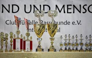 Impressionen der Tandem-Rassehunde-Ausstellung 2024: Welt Sieger Schau & German Champion Cup