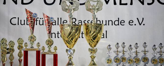 Impressionen der Tandem-Rassehunde-Ausstellung 2024: Welt Sieger Schau & German Champion Cup