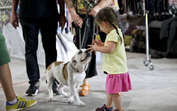 Hunde und Teilnehmer bei der Tandem-Rassehunde-Ausstellung 2024 im Eistreff Waldbronn