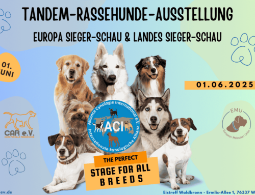 🎉 ACI e.V. Rassehunde-Ausstellung – 01. Juni 2025 in Waldbronn!