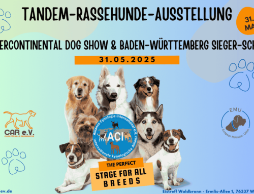 🎉 Start der ACI e.V. Ausstellungssaison – Jetzt für 31.05.2025 anmelden! 🐾