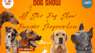 Einladung zur ACI e.V. Rassehunde-Ausstellung am 12. Juli 2025