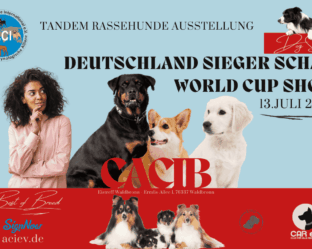 Einladung zur ACI e.V. Rassehunde-Ausstellung am 13. Juli 2025 in Waldbronn