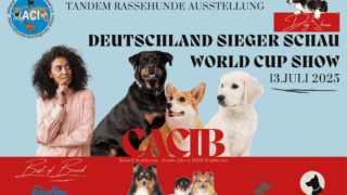 Einladung zur ACI e.V. Rassehunde-Ausstellung am 13. Juli 2025 in Waldbronn