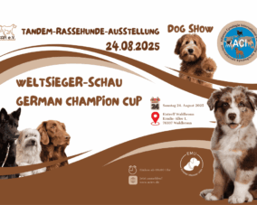Finale der ACI e.V. Rassehunde-Ausstellungsseason 2025 – Seien Sie dabei!