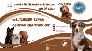 Finale der ACI e.V. Rassehunde-Ausstellungsseason 24.08.2025 – Seien Sie dabei!