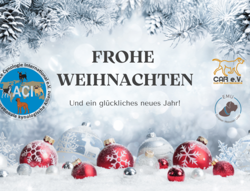 Frohe Weihnachten und ein glückliches neues Jahr 2025 von ACI e.V.