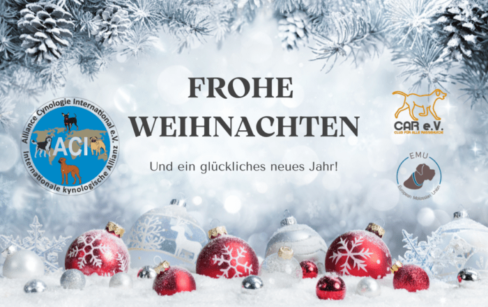 Frohe Weihnachten und ein glückliches neues Jahr 2025 von ACI e.V.