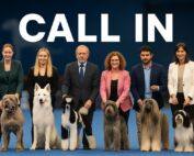 ACI Hundeausstellung Waldbronn 2025 – Tagesplan & Infos zur Anmeldung