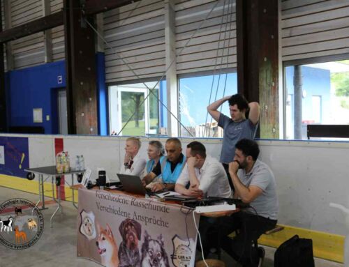 Siegerliste der Europa Sieger Schau & Landes-Sieger-Schau in Waldbronn 01.06.2025