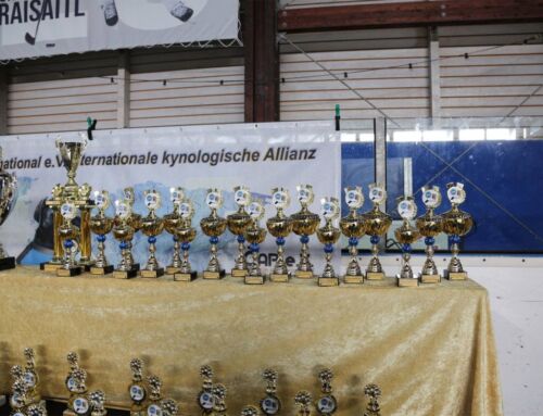 Siegerliste – ACI All Star Dog Show (ASDS) & Bundes Sieger Schau (BSS) 12.07.2025