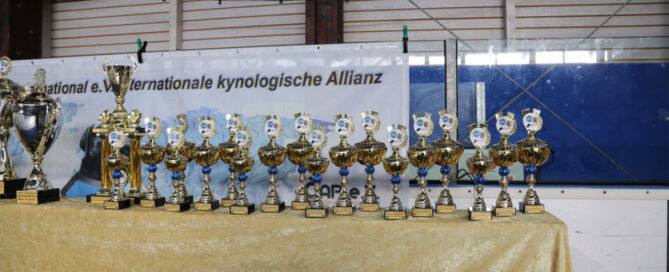 Halber Pokaltisch mit ACI Pokalen aus seitlicher Perspektive 2025