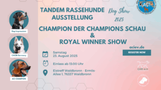Rassehunde-Ausstellung des ACI e.V. 23. August 2025 – Ein Tag für Züchter und Hundeliebhaber