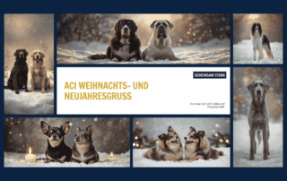 Canva: erstellt Weihnachtliches ACI-Banner mit verschiedenen Hunderassen als Symbol für Gemeinschaft, Verantwortung und kynologische Verbandsarbeit zum Jahreswechsel.