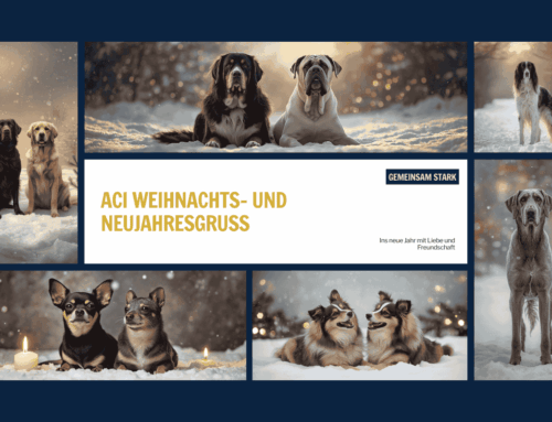 Weihnachts- und Neujahresgruß des ACI – Gemeinsam stark in die Zukunft