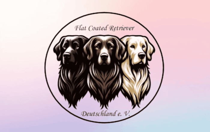 Flatcoated Retriever Club Deutschland – Leidenschaft für Retriever & Zucht