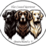 Flatcoated Retriever Club Deutschland – Leidenschaft für Retriever & Zucht